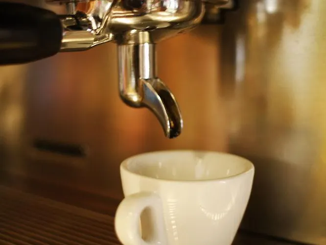 Devon Rooms&breakfast 3* Cesenatico