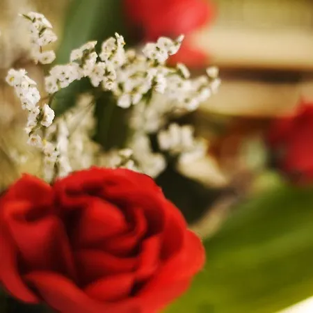 Devon & Breakfast Ξενοδοχείο 3*