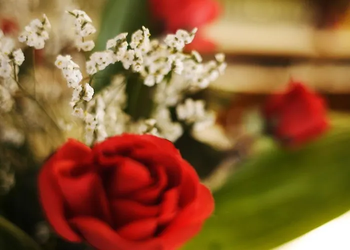 Devon & Breakfast Hotel 3*